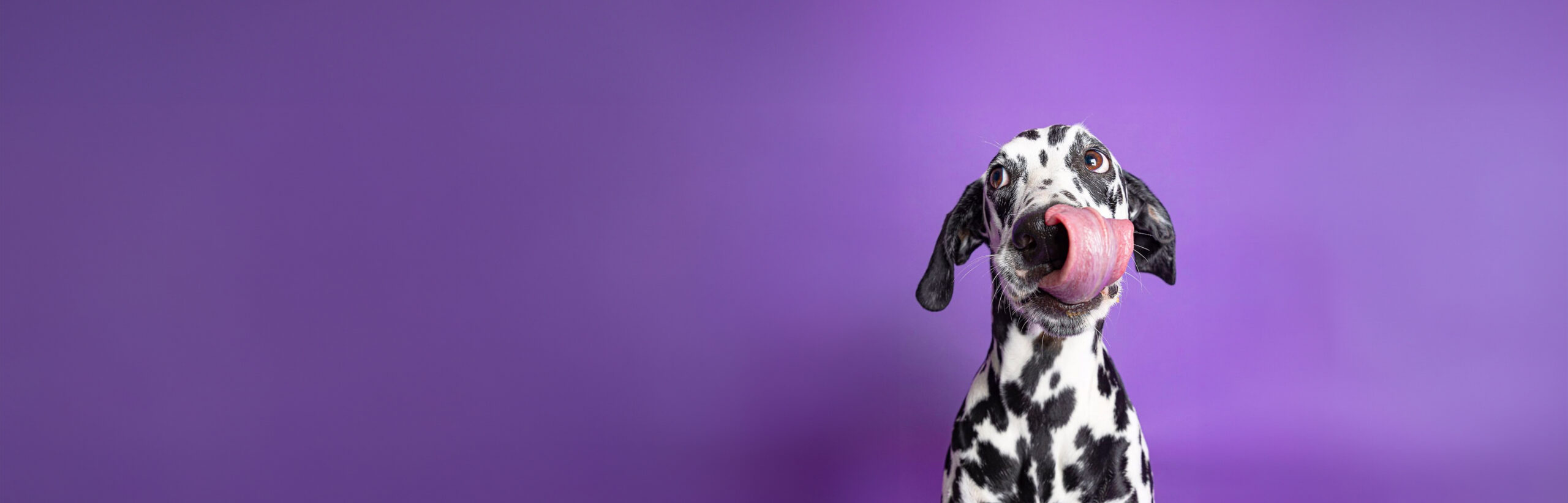 Make this year an iconic one